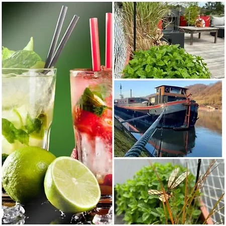 Botel Perle ! Peniche Complete Pour 8 Sur La Meuse, Region Namur *